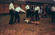 046.jpg