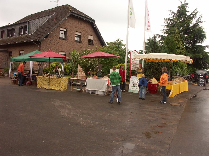 274.jpg