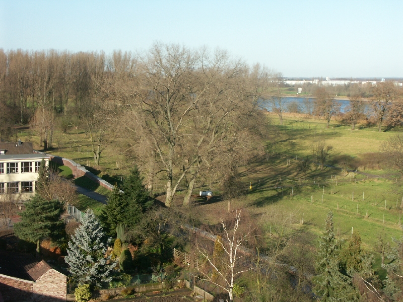 77.jpg