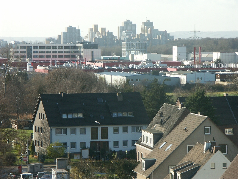 81.jpg