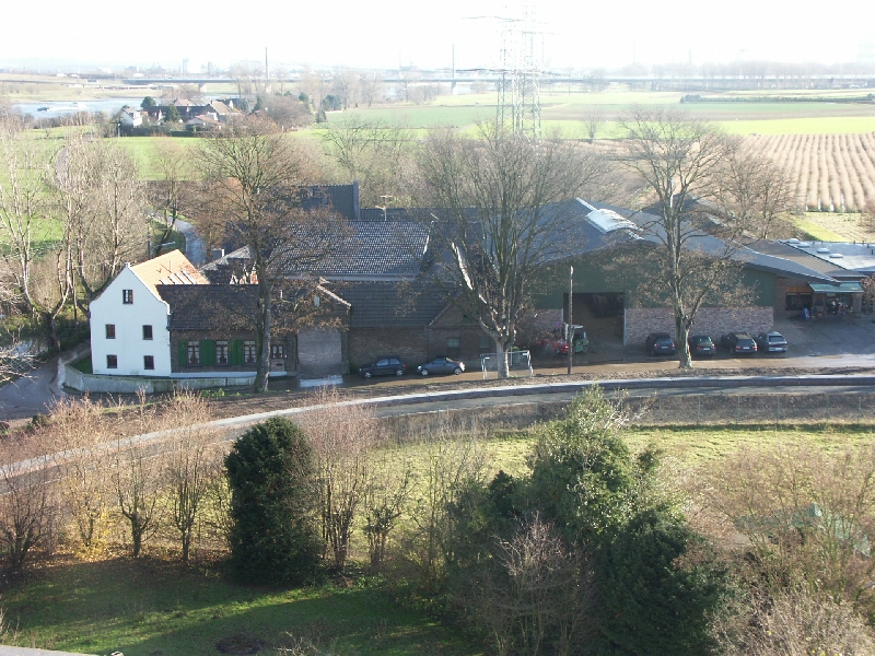 84.jpg