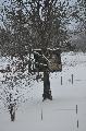 061.jpg