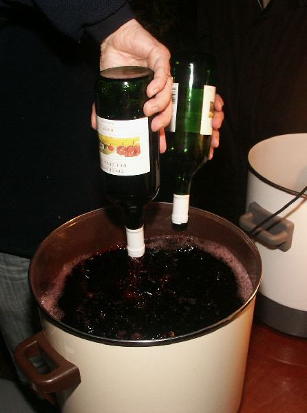 01.jpg